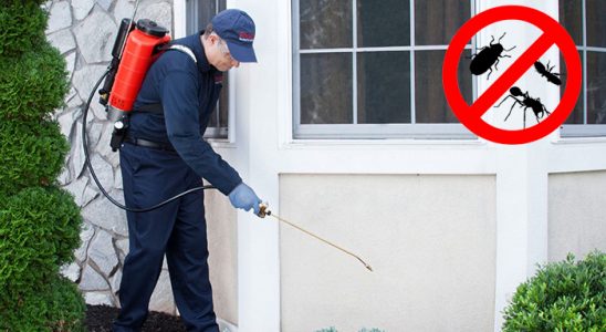 Kayapınar Hamam Böceği İlaçlama böcek ilaçlama ve haşere kontrolü — ilaclama-tr.com